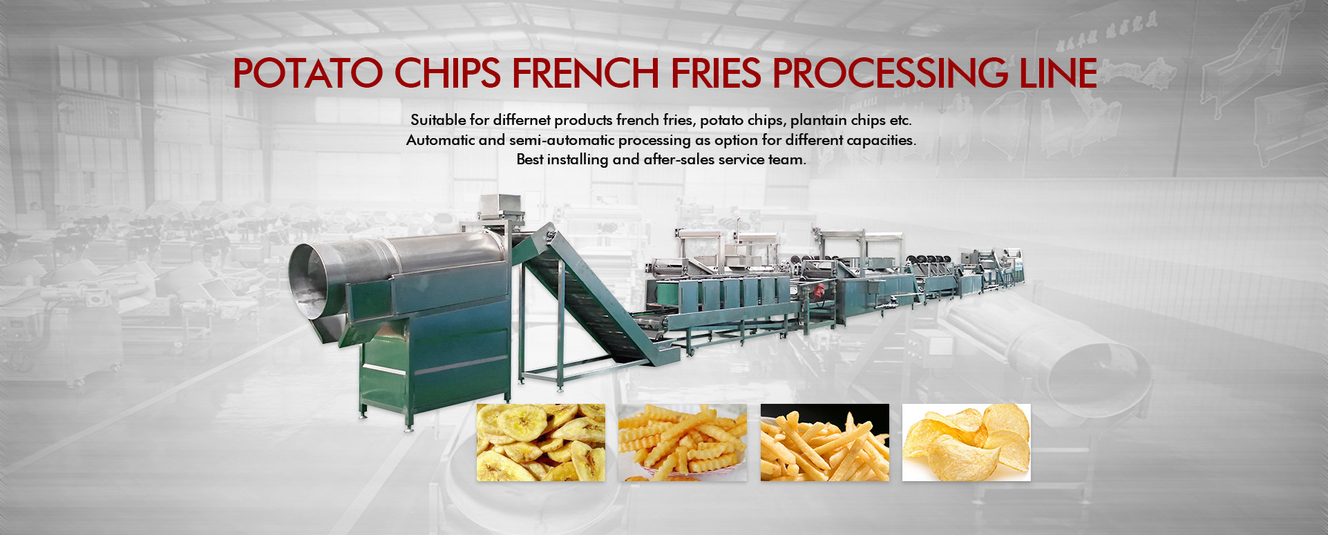 Frying Food Processing Machine