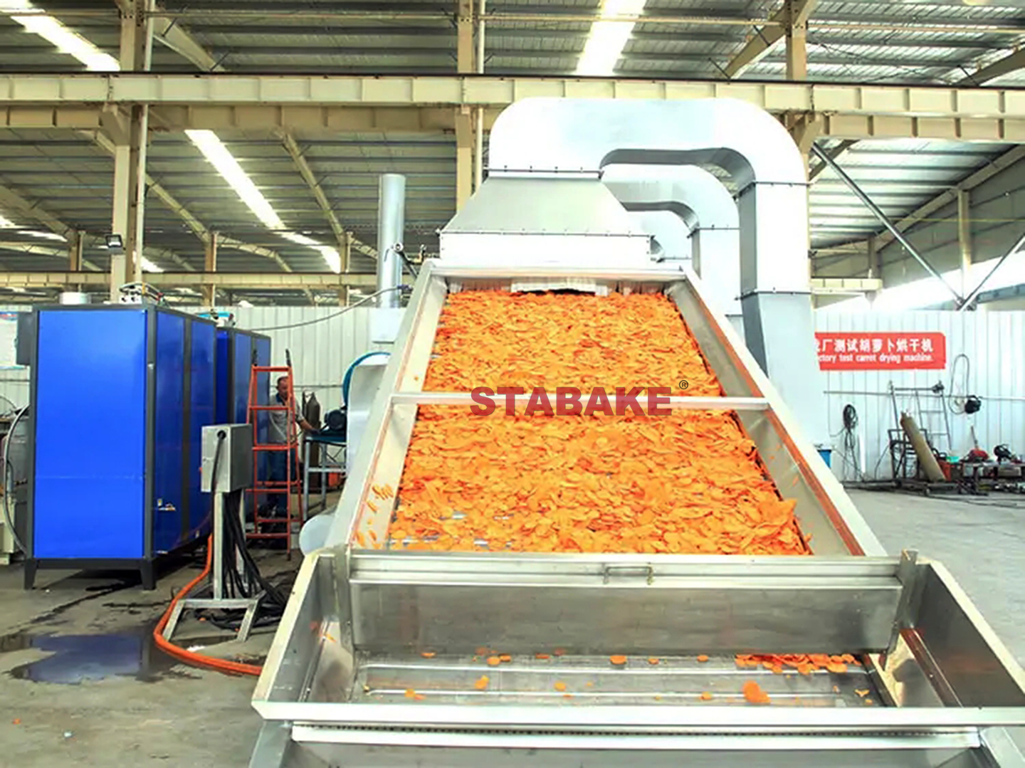 Automatic carrot drying processing line (2).jpg